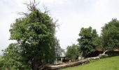 Tour Zu Fuß Gamlitz - Steinbach - Südsteir. Weinstraße - Eckberg - Photo 3