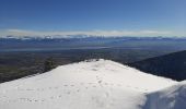 Tocht Sneeuwschoenen Gex - La Faucille_Montrond 11km 20200220 - Photo 1