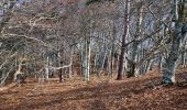 Tour Wandern Saou - Forêt de Saoû - Les Pomerolles - Photo 17