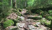 Tour Wandern Montriond - Lac de Montrillon  sous la pluie - Photo 10