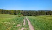 Trail Walking Ottrott - Le circuit des 5 châteaux - Photo 1