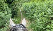 Trail Horseback riding Habay - Forêt de Rulles - Photo 8