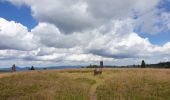 Trail Walking Belmont - Tour du Champ du Feu - Photo 10