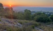 Trail Trail Sainte-Tulle - Le Trou du Loup(17K 520D+) - Photo 4