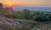 Tour Pfad Sainte-Tulle - Le Trou du Loup(17K 520D+) - Photo 4