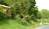 Randonnée A pied Ryedale - Dalby Beck Red Trail - Photo 2