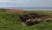 Trail Walking Audresselles - Cran le Noirda - Photo 7