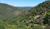 Excursión Senderismo Les Plantiers - coeur des cevennes - Photo 1