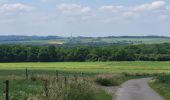 Tocht Stappen Durbuy - Bomal sur Ourthe 170625 - Photo 16