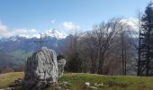 Tour Wandern Le Châtelard - Croix du Plane - Photo 6