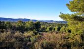 Tour Wandern Le Beausset - le beausset abime de Maramouyé - Photo 2