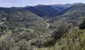 Trail Walking Maureillas-las-Illas - dolmen de la Siureda via tour Bel Ull - Photo 4