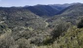 Tocht Stappen Maureillas-las-Illas - dolmen de la Siureda via tour Bel Ull - Photo 4