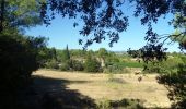 Trail Walking Laure-Minervois - LAURE MINERVOIS - Le sentier des Capitelles - Photo 11