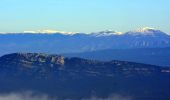 Trail Walking La Roquebrussanne - 10844300-chapelle st andre ,grotte 400 moutons source oris - Photo 13