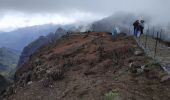 Percorso Marcia Ilha - 2025-03-30  Pico do Risco - Photo 4