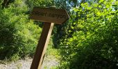 Excursión Senderismo Termes - Termes ( Aude )  + les gorges de Terminet +le Nitable roc - Photo 16