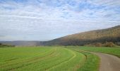 Tour Zu Fuß Wesertal - Eco-Pfad Oedelsheim - Photo 3