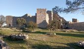 Tour Wandern Montaud - Montaud château de Montlaur le 31 01 2023 - Photo 6