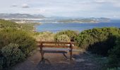 Tocht Trail La Seyne-sur-Mer - fabregas, sémaphore du cap Sicié. sentier du littoral  - Photo 16