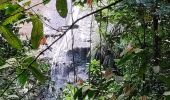 Randonnée Marche Le Prêcheur - Cascade de l'anse Couleuvre, depuis anse Céron en aller-retour ! - Photo 12