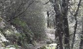 Trail Walking Céret - mon balcon de Céret - Photo 15