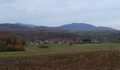 Tour Wandern Sentheim - Sentheimtour Covid série 2 bis - Photo 5