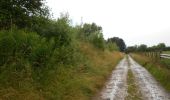 Trail On foot Ninove - Galgeveldwandeling - Photo 5