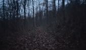 Trail Walking Saint-Gobain - errancourt-saint Nicolas aux bois  - Photo 2