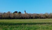 Trail Walking Brissac-Loire-Aubance - St Saturnin  - Photo 18