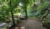 Trail Walking Vic-sur-Cère - Pas de Cère- cascade de Gourdole - Photo 16