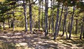 Tocht Stappen Mirabel-et-Blacons - Chapelle Saint-Christophe - Charsac - Photo 17