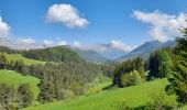 Tocht Stappen Gresse-en-Vercors - Col de l'Allimas - Photo 6