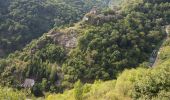 Tour Zu Fuß Bacharach - Rundwanderweg Esel (gelber Pfeil) - Photo 7