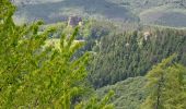 Tocht Stappen Lembach - Lembach Les 4 Châteaux - Photo 5