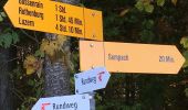 Trail On foot Sempach - Allment - Sonnhalde - Photo 1