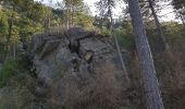 Excursión Senderismo Saint-Étienne-de-Gourgas - Forêt de Parlatges - Roc de l'Eglise - Photo 16