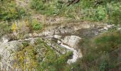 Tour Wandern Bort-les-Orgues - Chute de la Saule - Photo 16