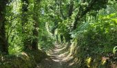 Trail Walking Moëlan-sur-Mer - Boucle Trail Walking Moëlan-sur-Mer - Boucle
