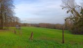 Trail Walking Liège - tourniquet au sart-tilman  - Photo 12