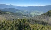 Trail Walking La Palud-sur-Verdon - La palud sur Verdon - Photo 3