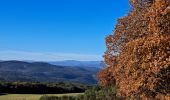 Trail Walking Cornillon - Autour  de Cornillon - Photo 4