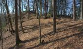 Tocht Te voet Wiesenttal - Rundwanderweg Wüstenstein - Draisendorf - Photo 1