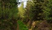 Trail Horseback riding Viroinval - Oignies / le Mesnil par Nobertins 100621 - Photo 4