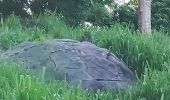 Excursión Senderismo Les Trois-Îlets - Boucle de Anse à l'âne et Galochat à Trois-Îlets. - Photo 2