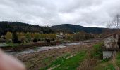 Trail Nordic walking Aiguilhe - Le Puy-en-Velay saint-privat-d'Allier - Photo 5