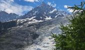 Tocht Stappen Chamonix-Mont-Blanc - La Jonction depuis le parking de Mont (Chamonix) - Photo 6