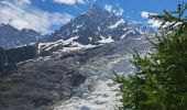 Percorso Marcia Chamonix-Mont-Blanc - La Jonction depuis le parking de Mont (Chamonix) - Photo 6