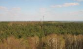 Tour Zu Fuß Krausnick-Groß Wasserburg - Wanderweg Krausnick-Wehlaberg (Ausichtsturm) - Photo 3