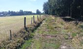 Tocht Stappen Waimes - autour de botrange et du bois de sourbrodt - Photo 6